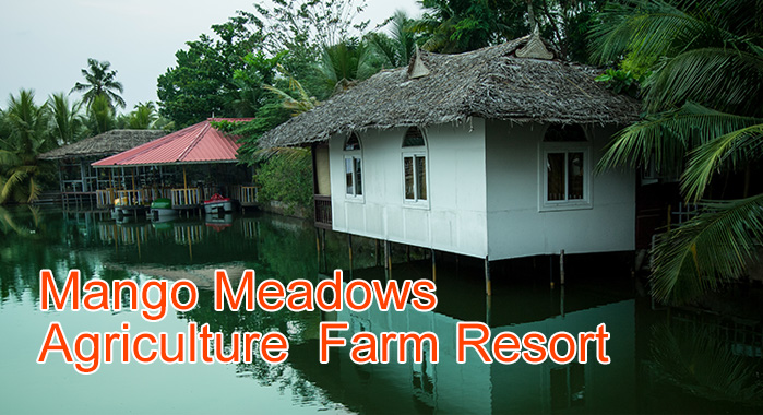 Mangomeadows-agriculture-Farm-Resort